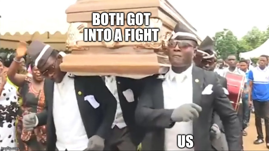 Coffin Dance | BOTH GOT INTO A FIGHT US | image tagged in coffin dance | made w/ Imgflip meme maker