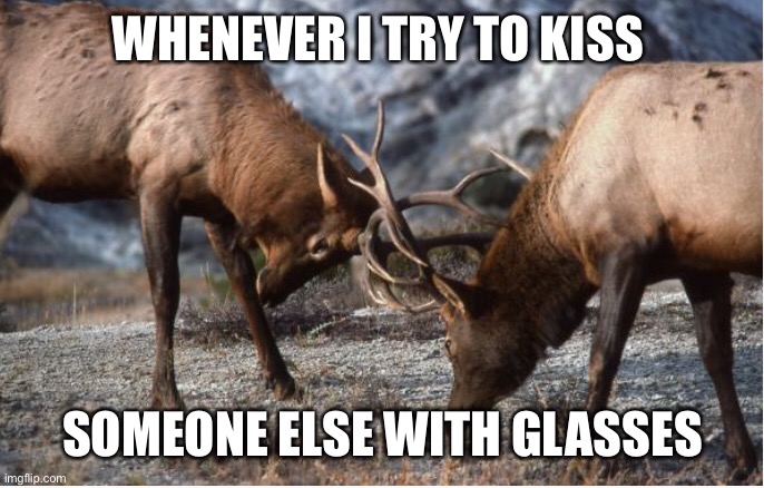 Kiss with glasses | WHENEVER I TRY TO KISS; SOMEONE ELSE WITH GLASSES | image tagged in elk,glasses,kiss | made w/ Imgflip meme maker