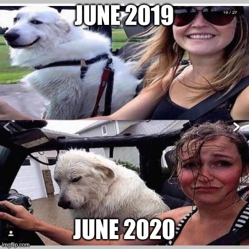 Before/After | JUNE 2019; JUNE 2020 | image tagged in 2020 | made w/ Imgflip meme maker