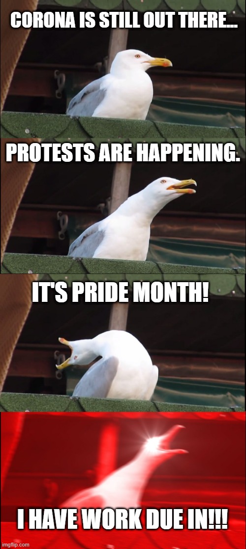 o_o | CORONA IS STILL OUT THERE... PROTESTS ARE HAPPENING. IT'S PRIDE MONTH! I HAVE WORK DUE IN!!! | image tagged in memes,inhaling seagull | made w/ Imgflip meme maker