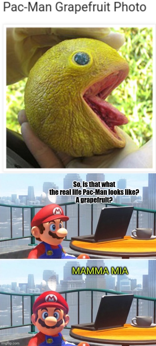 Pac-Man grapefruit photo | So, is that what the real life Pac-Man looks like?
A grapefruit? MAMMA MIA | image tagged in mario looks at computer,pac-man,gaming,memes,meme,pacman | made w/ Imgflip meme maker