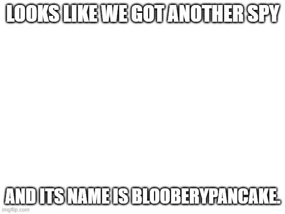 Blank White Template | LOOKS LIKE WE GOT ANOTHER SPY; AND ITS NAME IS BLOOBERYPANCAKE. | image tagged in blank white template | made w/ Imgflip meme maker