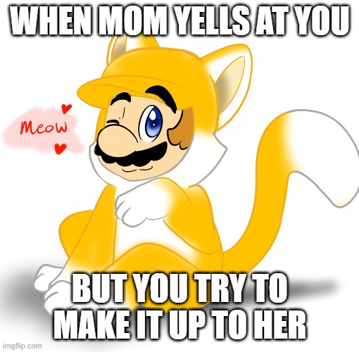 cat mario |  WHEN MOM YELLS AT YOU; BUT YOU TRY TO MAKE IT UP TO HER | image tagged in funny | made w/ Imgflip meme maker