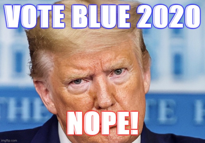 The 'Confederacy's Second President' | VOTE BLUE 2020; NOPE! | image tagged in donald trump,confederate flag,nope,moron,racist,vote blue 2020 | made w/ Imgflip meme maker