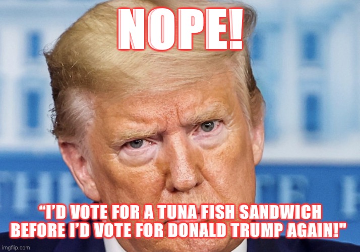 NOPE! | NOPE! “I’D VOTE FOR A TUNA FISH SANDWICH BEFORE I’D VOTE FOR DONALD TRUMP AGAIN!" | image tagged in donald trump,nope,bunker bitch,moron,vote blue 2020,deplorable donald | made w/ Imgflip meme maker