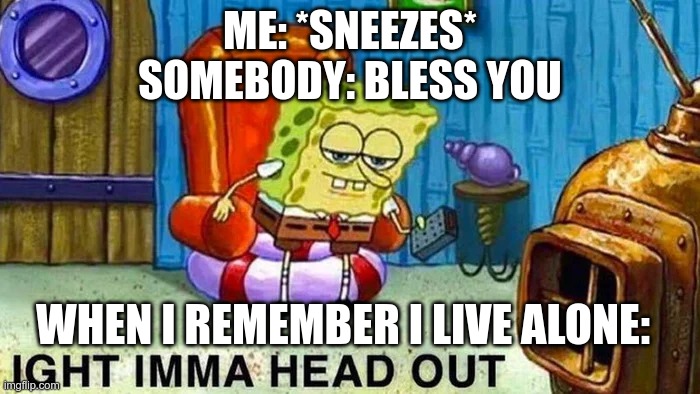 skreem and run away |  ME: *SNEEZES*
SOMEBODY: BLESS YOU; WHEN I REMEMBER I LIVE ALONE: | image tagged in skreems | made w/ Imgflip meme maker