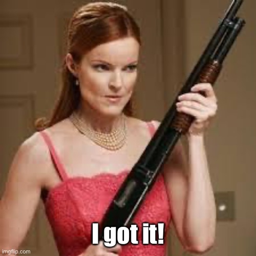 wife with a shotgun | I got it! | image tagged in wife with a shotgun | made w/ Imgflip meme maker