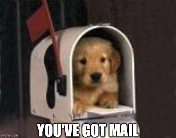 YOU'VE GOT MAIL | image tagged in dog | made w/ Imgflip meme maker