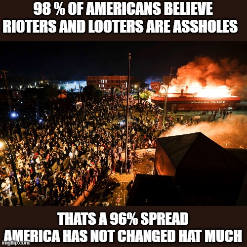 98 % OF AMERICANS BELIEVE RIOTERS AND LOOTERS ARE ASSHOLES THATS A 96% SPREAD AMERICA HAS NOT CHANGED HAT MUCH | made w/ Imgflip meme maker