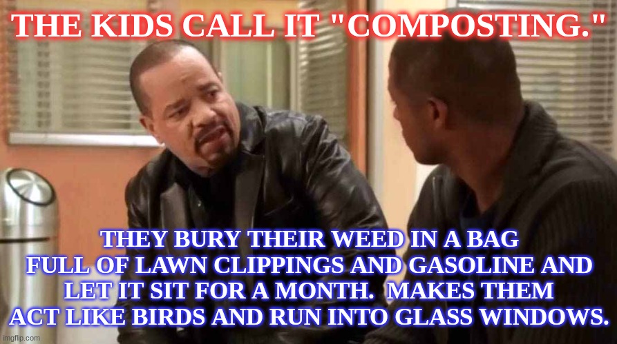 ice t svu | THE KIDS CALL IT "COMPOSTING." THEY BURY THEIR WEED IN A BAG FULL OF LAWN CLIPPINGS AND GASOLINE AND LET IT SIT FOR A MONTH.  MAKES THEM ACT | image tagged in ice t svu | made w/ Imgflip meme maker