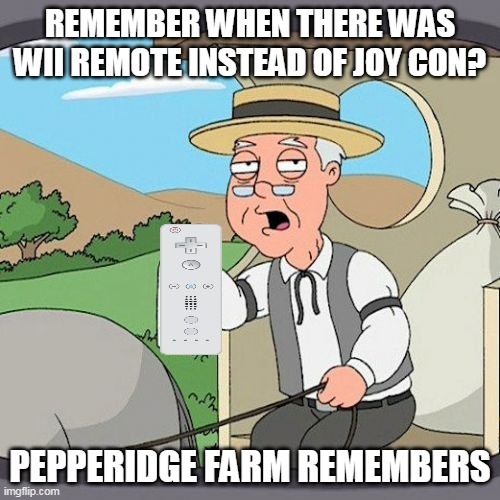 remember when there was wii remote instead of joy con? | REMEMBER WHEN THERE WAS WII REMOTE INSTEAD OF JOY CON? PEPPERIDGE FARM REMEMBERS | image tagged in memes,pepperidge farm remembers,wii,funny,nintendo,nintendo switch | made w/ Imgflip meme maker