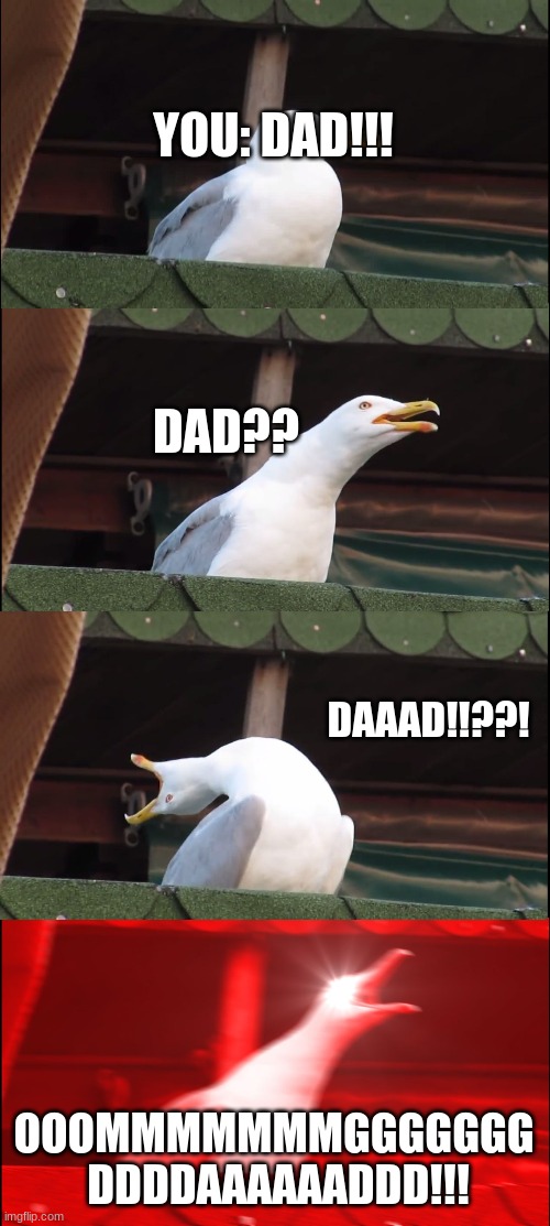 Inhaling Seagull | YOU: DAD!!! DAD?? DAAAD!!??! OOOMMMMMMMGGGGGGG  DDDDAAAAAADDD!!! | image tagged in memes,inhaling seagull | made w/ Imgflip meme maker