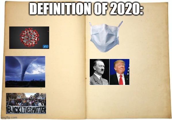 basically 2020 | DEFINITION OF 2020: | image tagged in dictionary meme | made w/ Imgflip meme maker