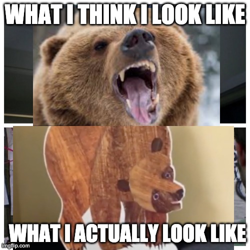 How I think I look | WHAT I THINK I LOOK LIKE; WHAT I ACTUALLY LOOK LIKE | image tagged in how i think i look | made w/ Imgflip meme maker