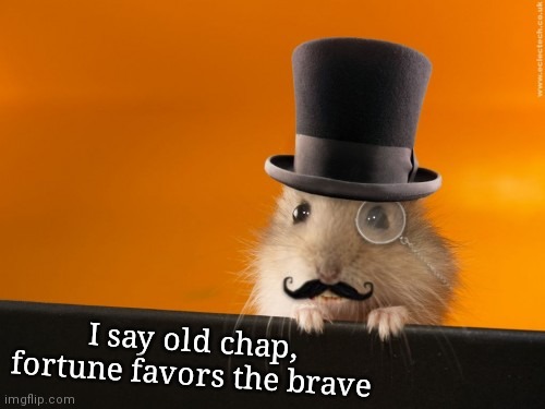 old chap | I say old chap, fortune favors the brave | image tagged in old chap | made w/ Imgflip meme maker