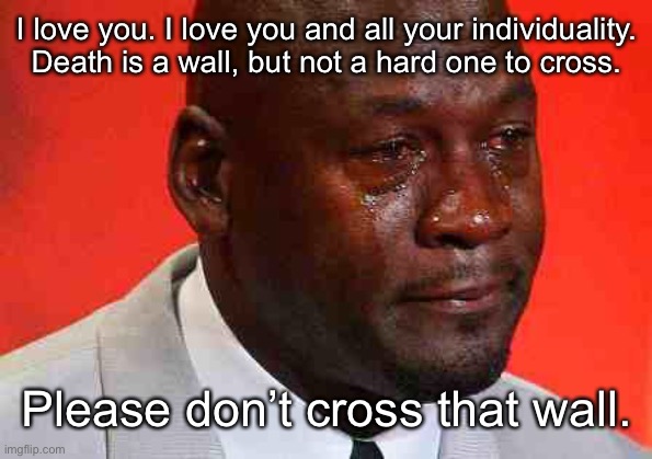 Please. | I love you. I love you and all your individuality. Death is a wall, but not a hard one to cross. Please don’t cross that wall. | image tagged in crying michael jordan | made w/ Imgflip meme maker