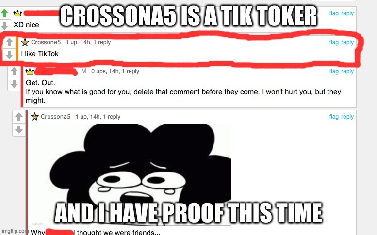 PUT THIS PERSON ON THE WANTED LIST | CROSSONA5 IS A TIK TOKER; AND I HAVE PROOF THIS TIME | made w/ Imgflip meme maker