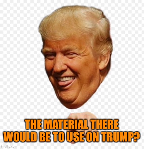 THE MATERIAL THERE WOULD BE TO USE ON TRUMP? | made w/ Imgflip meme maker