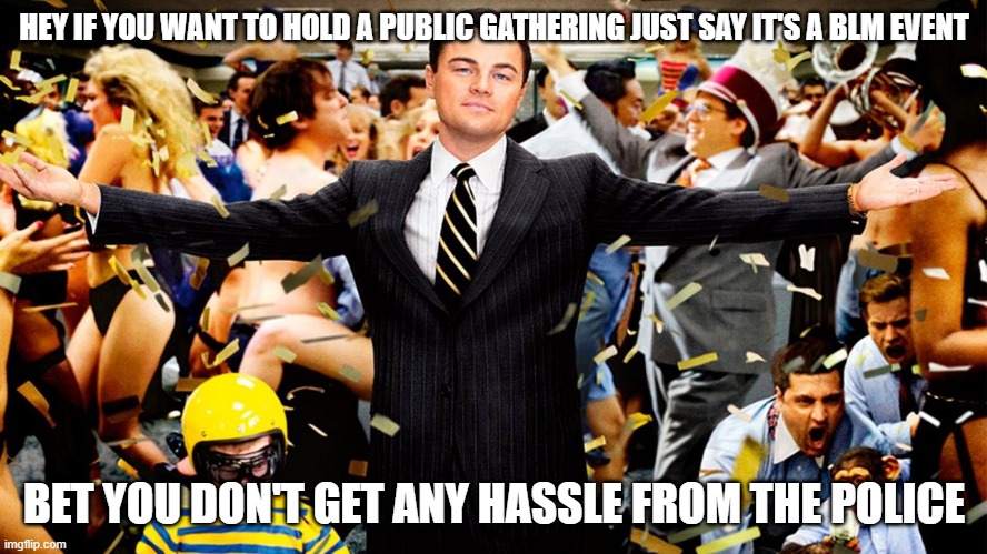 Wolf Party | HEY IF YOU WANT TO HOLD A PUBLIC GATHERING JUST SAY IT'S A BLM EVENT; BET YOU DON'T GET ANY HASSLE FROM THE POLICE | image tagged in wolf party | made w/ Imgflip meme maker