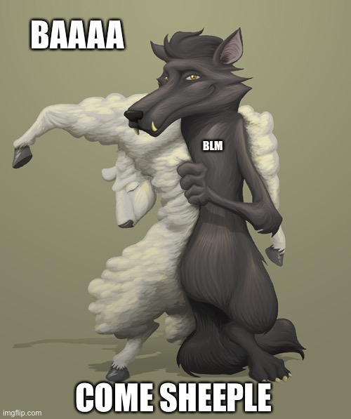 wolf in sheep clothing | BAAAA; BLM; COME SHEEPLE | image tagged in wolf in sheep clothing | made w/ Imgflip meme maker