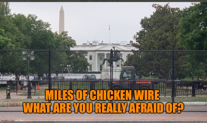 MILES OF CHICKEN WIRE 
WHAT ARE YOU REALLY AFRAID OF? | made w/ Imgflip meme maker