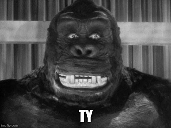 King kong | TY | image tagged in king kong | made w/ Imgflip meme maker