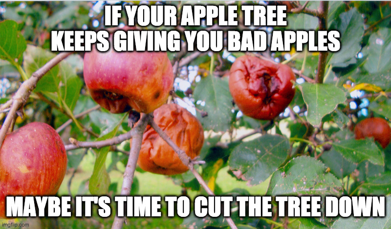 Just a few bad apples? | IF YOUR APPLE TREE KEEPS GIVING YOU BAD APPLES; MAYBE IT'S TIME TO CUT THE TREE DOWN | image tagged in blm,defund | made w/ Imgflip meme maker
