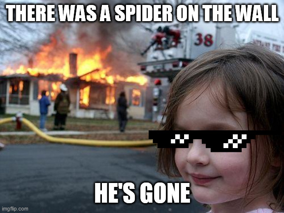 Disaster Girl Meme | THERE WAS A SPIDER ON THE WALL; HE'S GONE | image tagged in memes,disaster girl | made w/ Imgflip meme maker
