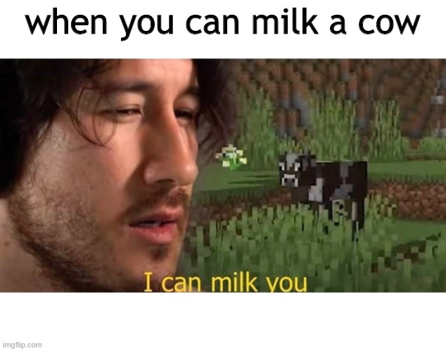 milk cows | when you can milk a cow | image tagged in cows | made w/ Imgflip meme maker