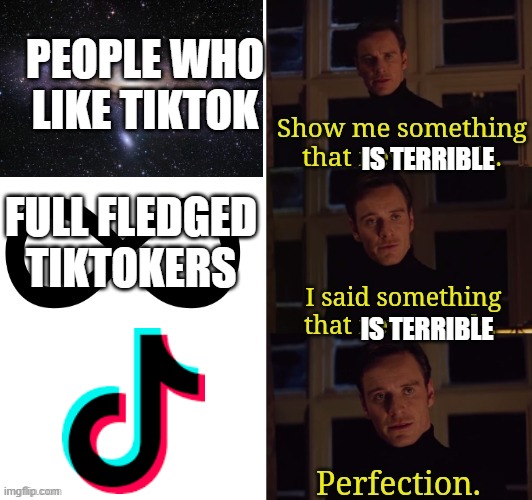 Perfection | PEOPLE WHO LIKE TIKTOK; IS TERRIBLE; FULL FLEDGED TIKTOKERS; IS TERRIBLE | image tagged in perfection | made w/ Imgflip meme maker