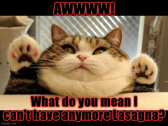 Doh! Nearly made it! | AWWWW! What do you mean I can't have anymore Lasagna? | image tagged in doh nearly made it | made w/ Imgflip meme maker