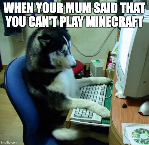 I Have No Idea What I Am Doing Meme | WHEN YOUR MUM SAID THAT YOU CAN'T PLAY MINECRAFT | image tagged in memes,i have no idea what i am doing | made w/ Imgflip meme maker