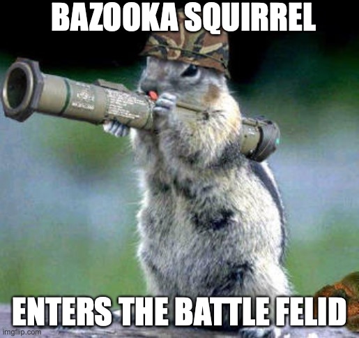Bazooka Squirrel Meme | BAZOOKA SQUIRREL; ENTERS THE BATTLE FELID | image tagged in memes,bazooka squirrel | made w/ Imgflip meme maker