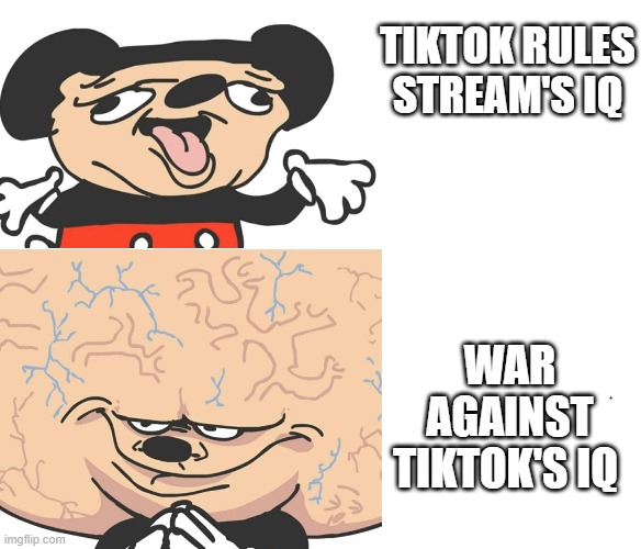 IQ | TIKTOK RULES STREAM'S IQ; WAR AGAINST TIKTOK'S IQ | made w/ Imgflip meme maker