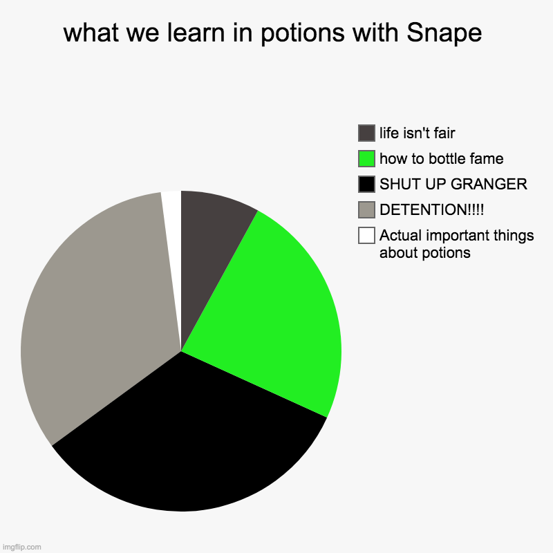 tell me if something about this is wrong | what we learn in potions with Snape | Actual important things about potions, DETENTION!!!!, SHUT UP GRANGER, how to bottle fame, life isn't  | image tagged in charts,pie charts,snape | made w/ Imgflip chart maker