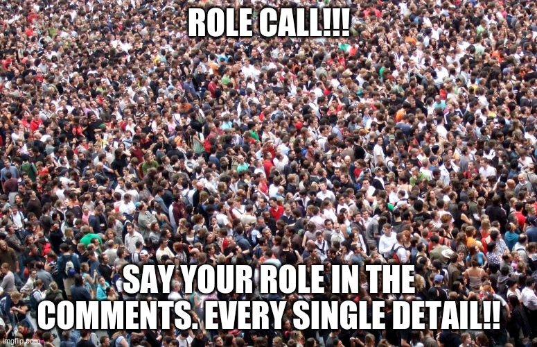 crowd of people | ROLE CALL!!! SAY YOUR ROLE IN THE COMMENTS. EVERY SINGLE DETAIL!! | image tagged in crowd of people | made w/ Imgflip meme maker