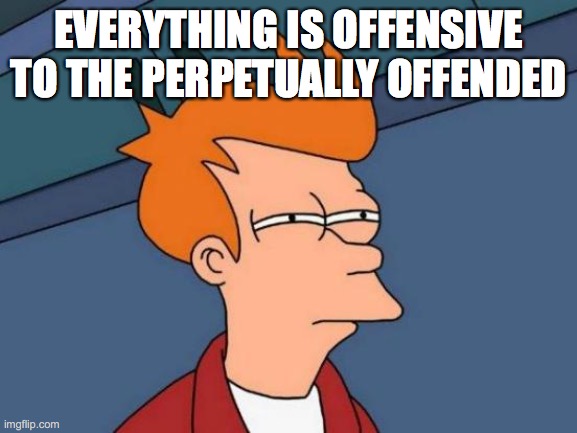 Futurama Fry Meme | EVERYTHING IS OFFENSIVE TO THE PERPETUALLY OFFENDED | image tagged in memes,futurama fry | made w/ Imgflip meme maker