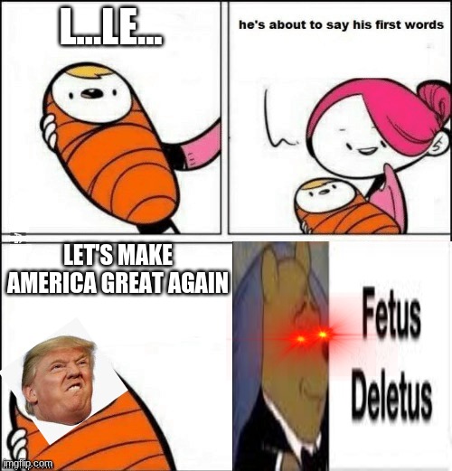 baby first words | L...LE... LET'S MAKE AMERICA GREAT AGAIN | image tagged in baby first words | made w/ Imgflip meme maker