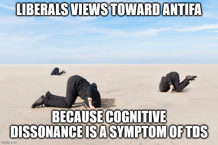LIBERALS VIEWS TOWARD ANTIFA BECAUSE COGNITIVE DISSONANCE IS A SYMPTOM OF TDS | made w/ Imgflip meme maker