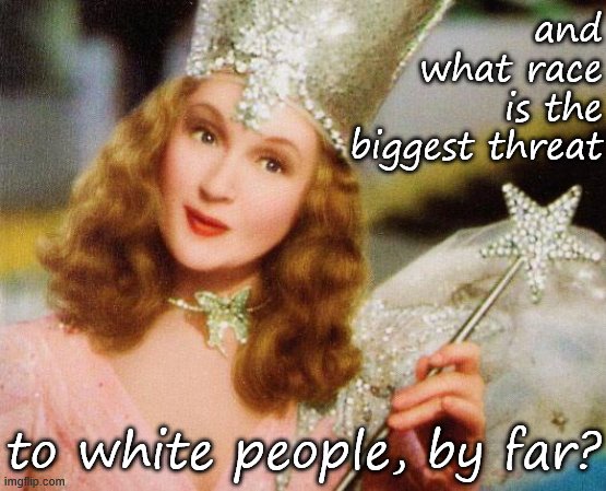 Do you know what race kills white people at the greatest rate? The answer may surprise you! | and what race is the biggest threat; to white people, by far? | image tagged in glinda,crime,segregation,murder,white people,criminals | made w/ Imgflip meme maker