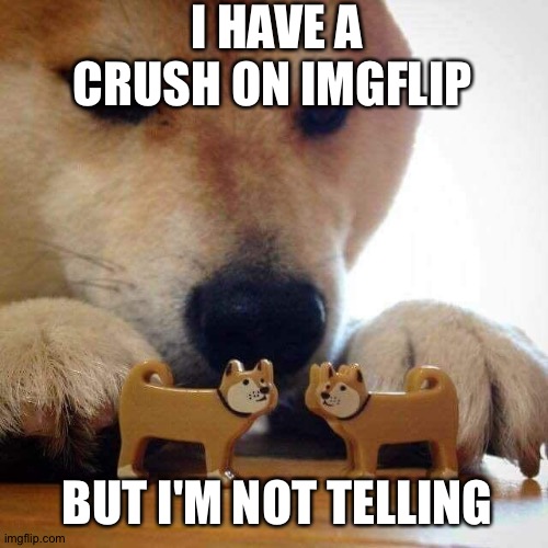 dog now kiss  | I HAVE A CRUSH ON IMGFLIP; BUT I'M NOT TELLING | image tagged in dog now kiss | made w/ Imgflip meme maker