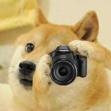 Camera Doge Blank Meme Template