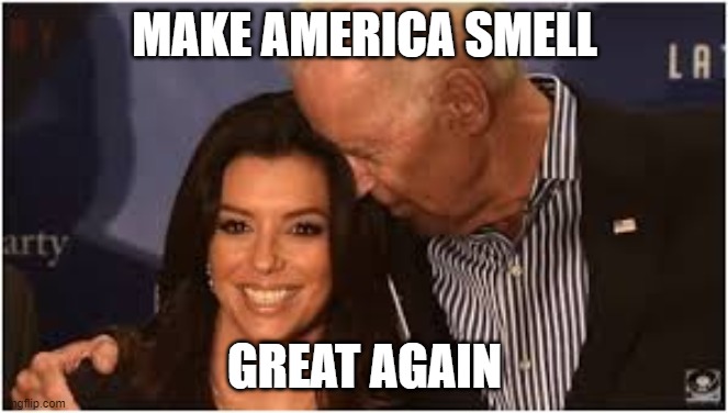 Joe Biden sniffs Eva's hair | MAKE AMERICA SMELL GREAT AGAIN | image tagged in joe biden sniffs eva's hair | made w/ Imgflip meme maker
