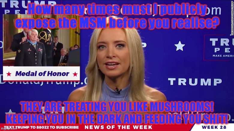 yum yum | How many times must I publicly expose the MSM before you realise? THEY ARE TREATING YOU LIKE MUSHROOMS! KEEPING YOU IN THE DARK AND FEEDING YOU SHIT! | image tagged in yum yum | made w/ Imgflip meme maker