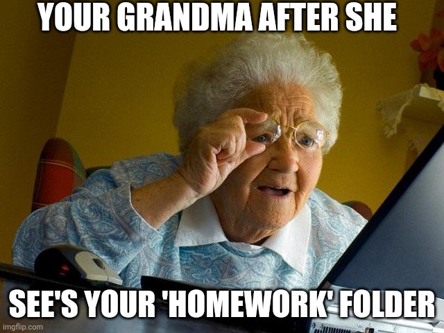 Grandma Finds The Internet Meme | YOUR GRANDMA AFTER SHE SEE'S YOUR 'HOMEWORK' FOLDER | image tagged in memes,grandma finds the internet | made w/ Imgflip meme maker