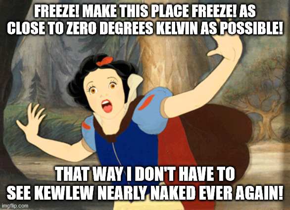 Snowwhite in fear | FREEZE! MAKE THIS PLACE FREEZE! AS CLOSE TO ZERO DEGREES KELVIN AS POSSIBLE! THAT WAY I DON'T HAVE TO SEE KEWLEW NEARLY NAKED EVER AGAIN! | image tagged in snowwhite in fear | made w/ Imgflip meme maker