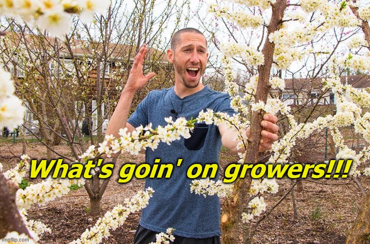 James Prigioni | What's goin' on growers!!! | image tagged in james prigioni,food forest | made w/ Imgflip meme maker