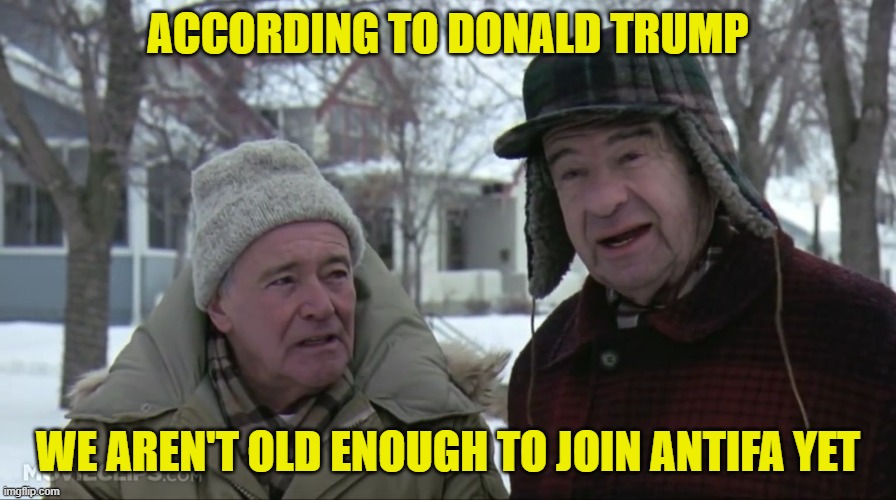 The Grumpy Old Men Would Shuffle Off To Buffalo, But According To Dolt 45, Alas, They Are Too Young.. | ACCORDING TO DONALD TRUMP; WE AREN'T OLD ENOUGH TO JOIN ANTIFA YET | image tagged in grumpy old men,donald trump | made w/ Imgflip meme maker