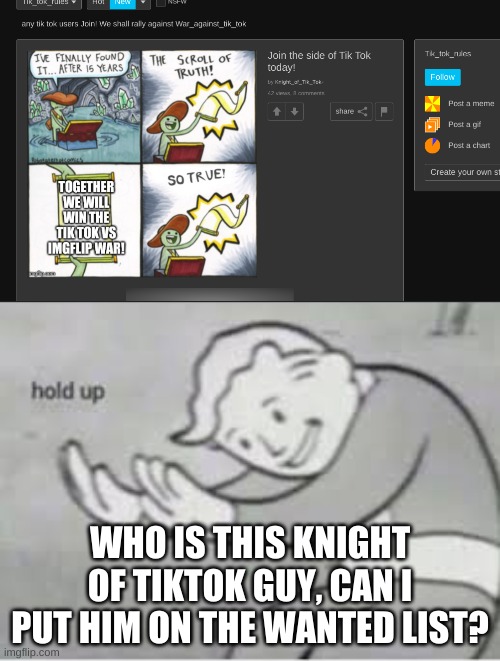 TIKTOKER ALERT, I REPEAT TIKTOKER ALERT | WHO IS THIS KNIGHT OF TIKTOK GUY, CAN I PUT HIM ON THE WANTED LIST? | image tagged in hol up | made w/ Imgflip meme maker