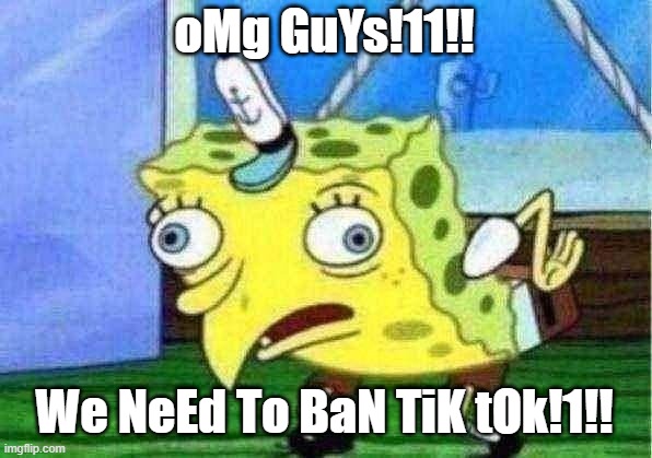 Mocking Spongebob Meme | oMg GuYs!11!! We NeEd To BaN TiK tOk!1!! | image tagged in memes,mocking spongebob | made w/ Imgflip meme maker